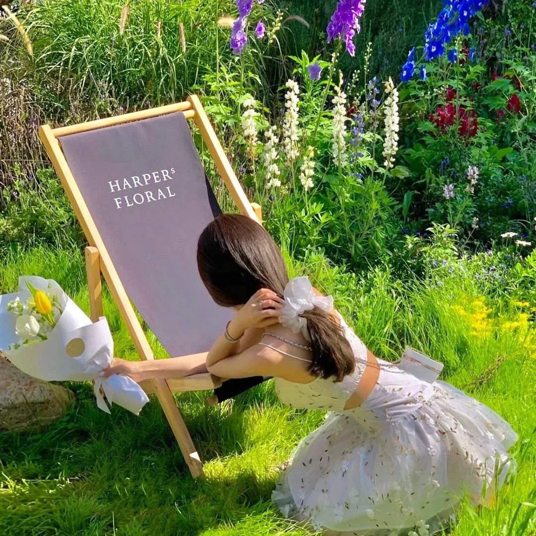 我的女主别太萌